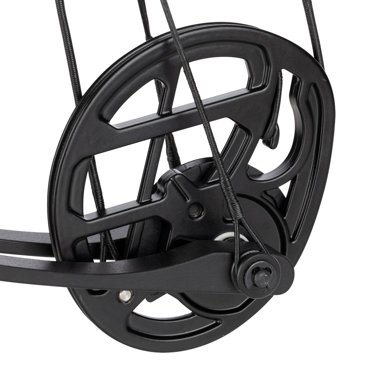 Bear Archery Youth Pathfinder Compound Bow