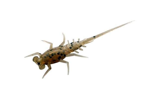 13 Fishing Bernie 6 Pack - Whiskey Sour