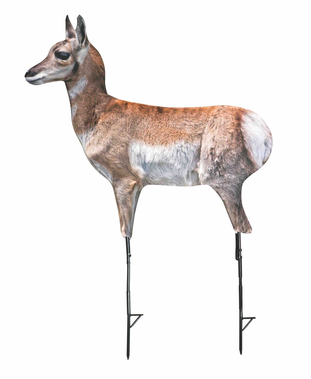 Montana Decoy Antelope Fawn Predator Decoy