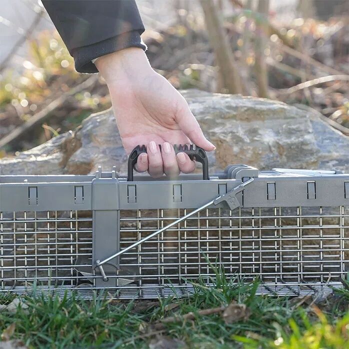 Victor Live Catch Cage Trap, 16-In x 6-In x 6-In