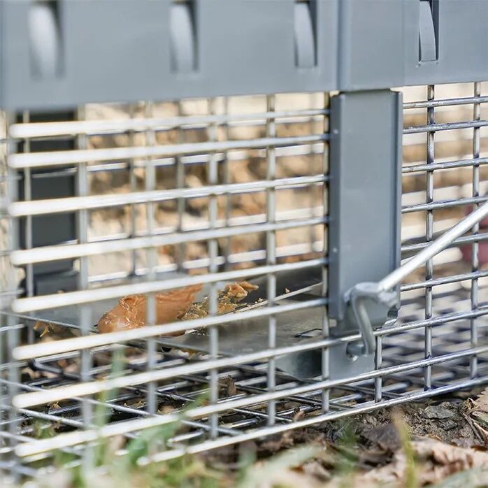 Victor Live Catch Cage Trap, 16-In x 6-In x 6-In
