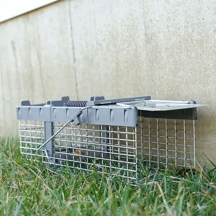 Victor Live Catch Cage Trap, 16-In x 6-In x 6-In