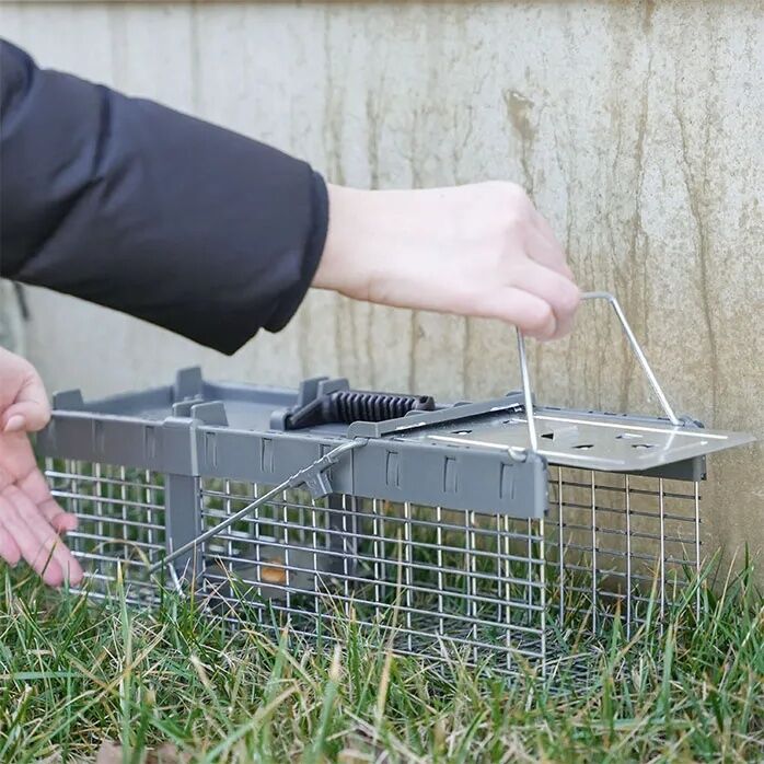 Victor Live Catch Cage Trap, 16-In x 6-In x 6-In