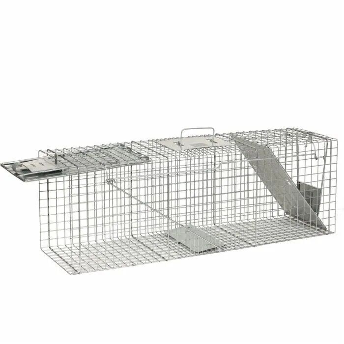 Havahart Large 2-Door Animal Trap, 36-In X 10-In X 12-In