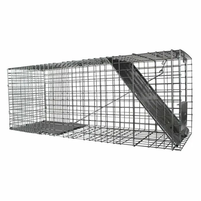 Havahart Large 1-Door Animal Trap, 32 In X 10 In X 12 In