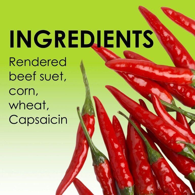 Heath Outdoor Products Hot Pepper Squirrel-Resistant Suet Cake, 11.25-Oz