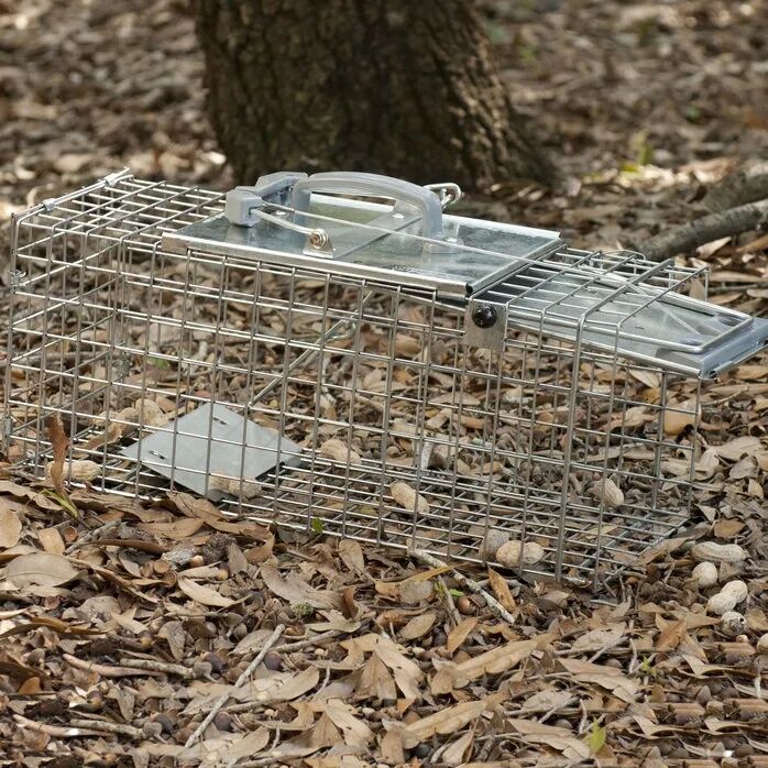 Havahart Easy Set Small 1-Door Animal Trap