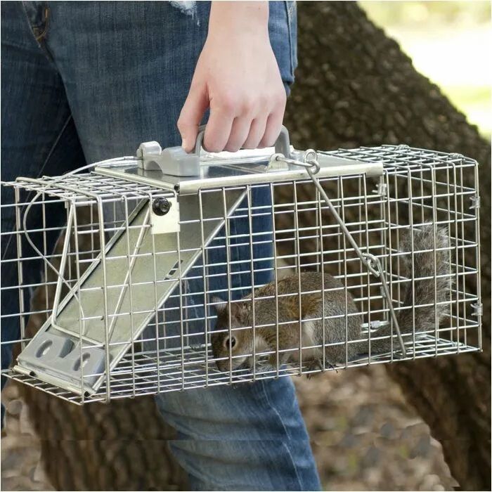 Havahart Easy Set Small 1-Door Animal Trap