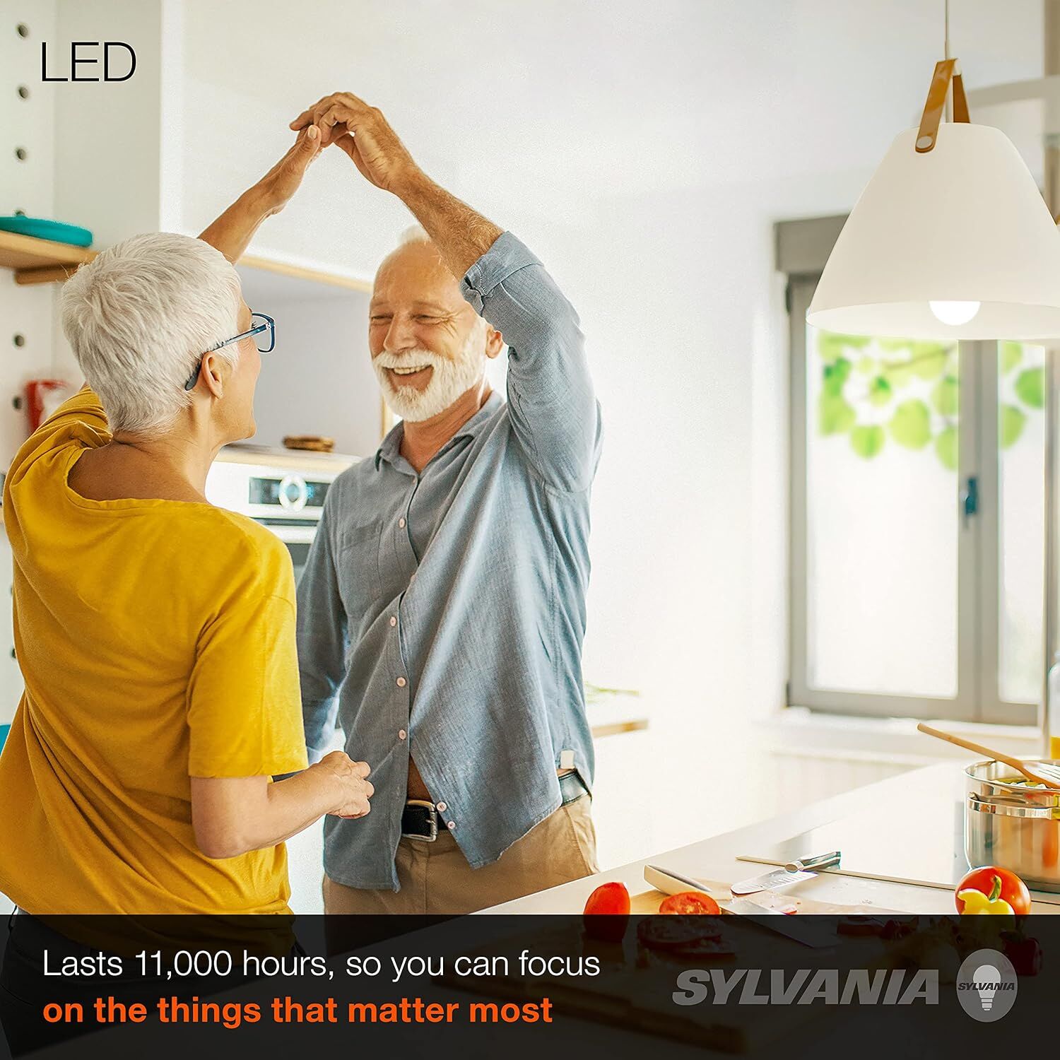 Sylvania A19 8.5 Watt Frosted Soft White LED Light Bulb, 2-Pk