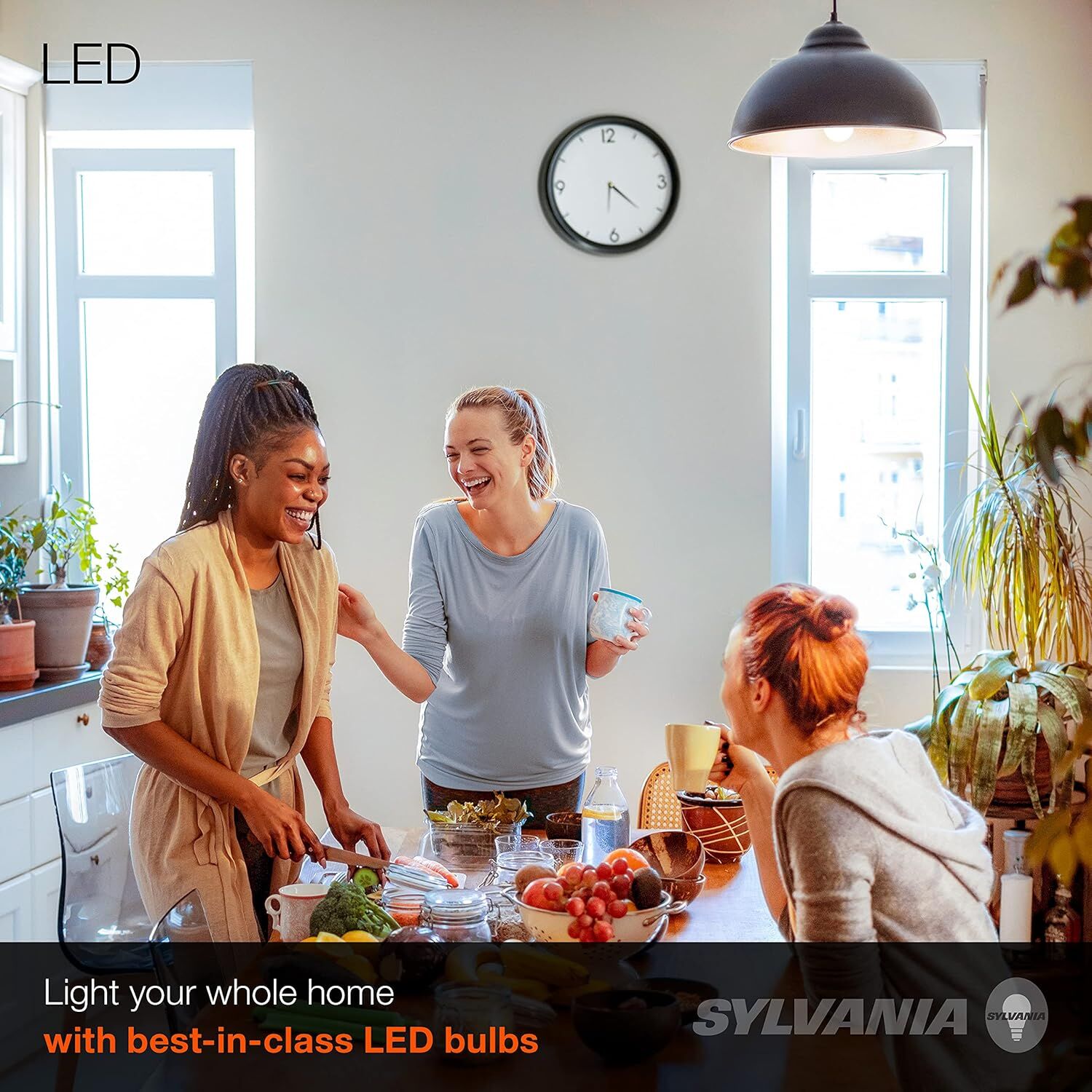 Sylvania A19 8.5 Watt Frosted Soft White LED Light Bulb, 2-Pk