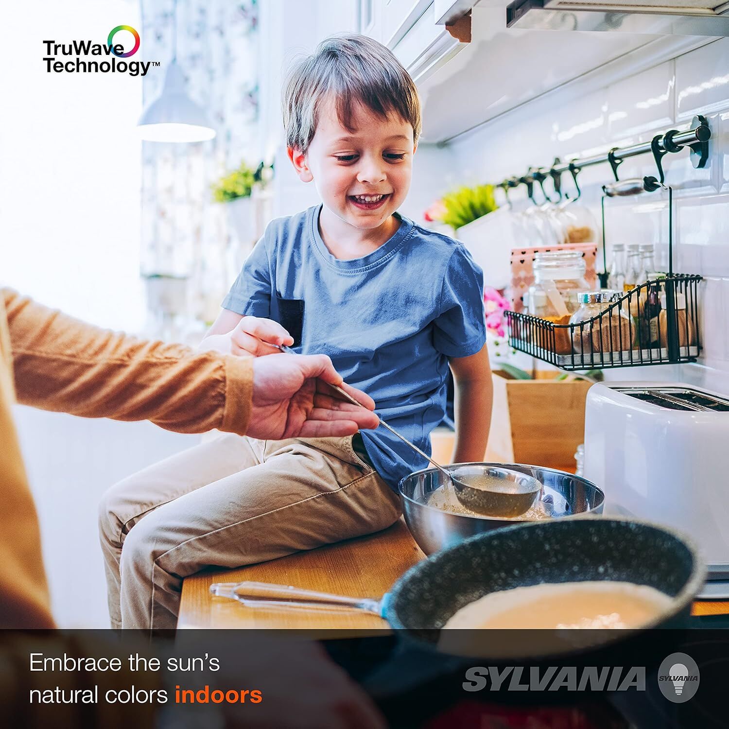 Sylvania TruWave Natural Series BR30 7 Watt Daylight Dimmable LED Light Bulb, 2-Pk