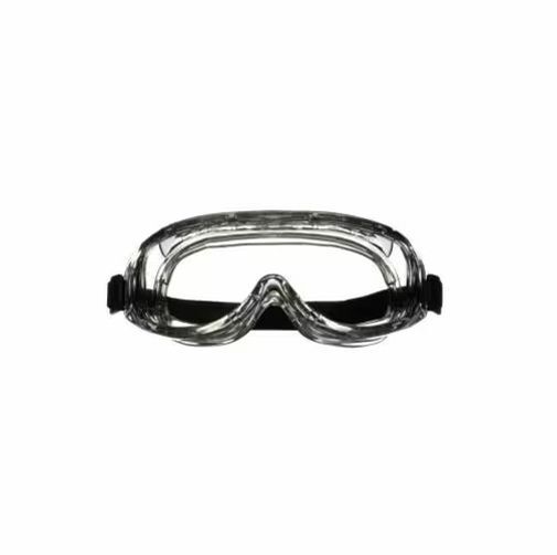 3M Professional Goggle, Clear Lens