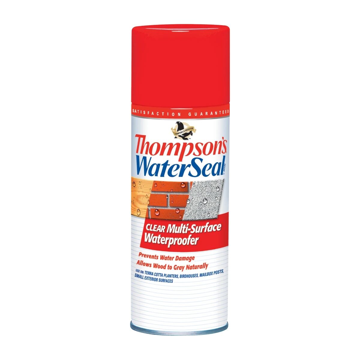 Thompson's WaterSeal Clear Multi-Surface Waterproofer Aerosol, 12-Oz