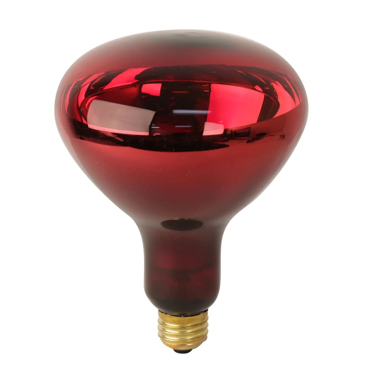 Feit Electric BR40 250 Watt Red Dimmable Incandescent Heat Lamp Reflector Bulb