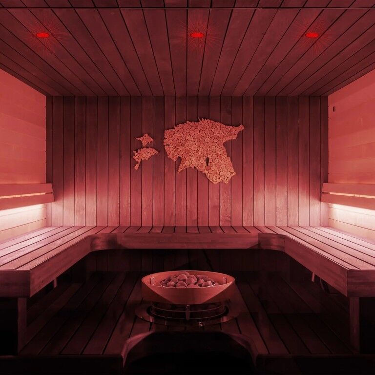 Feit Electric BR40 250 Watt Red Dimmable Incandescent Heat Lamp Reflector Bulb