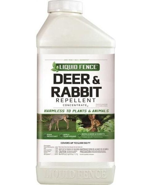 Liquid Fence Deer & Rabbit Repellent Concentrate2, 40-Oz