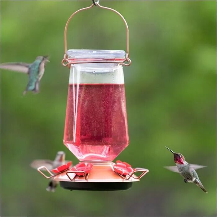 Perky-Pet Ready-to-Use Red Hummingbird Nectar, 16-Oz, 4-Ct