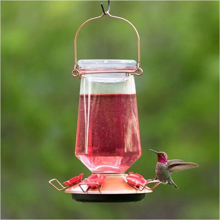 Perky-Pet Ready-to-Use Red Hummingbird Nectar, 16-Oz, 4-Ct