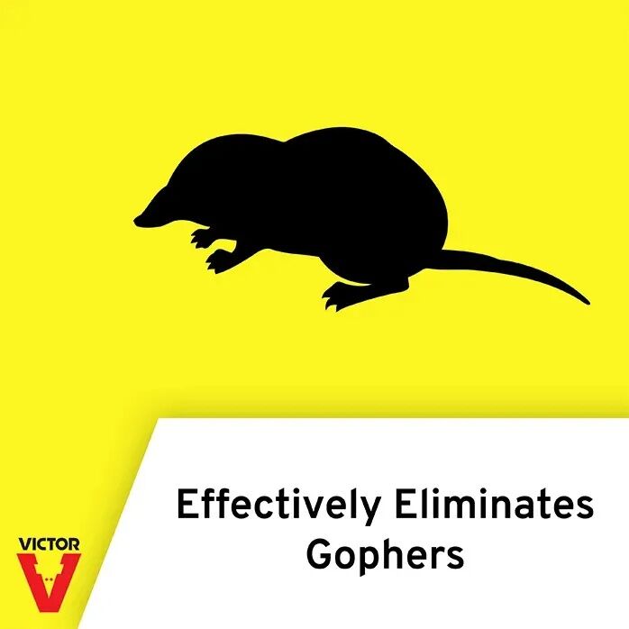 Victor Traps Choker-Style Gopher Trap - 1 lb