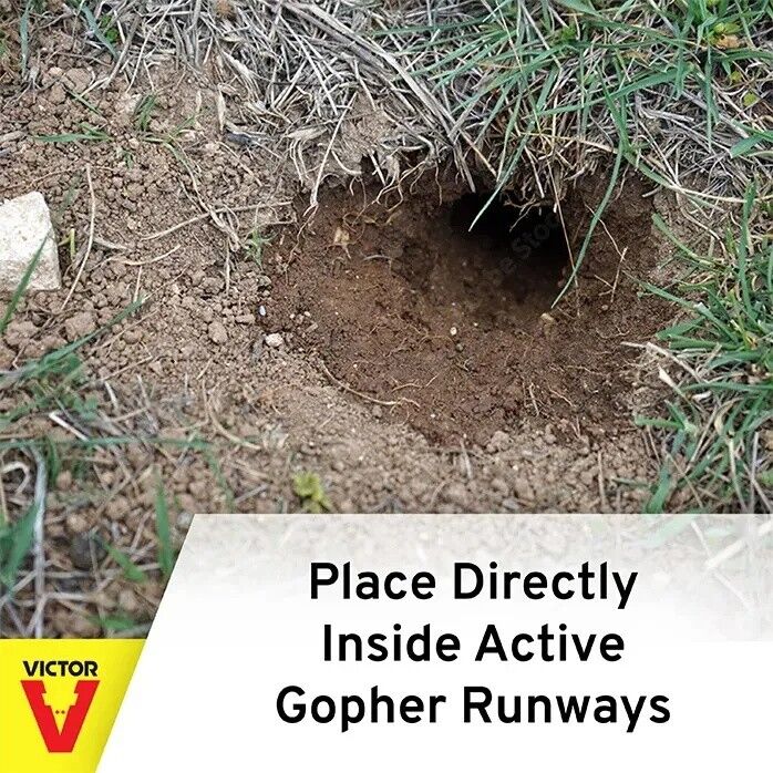 Victor Traps Choker-Style Gopher Trap - 1 lb