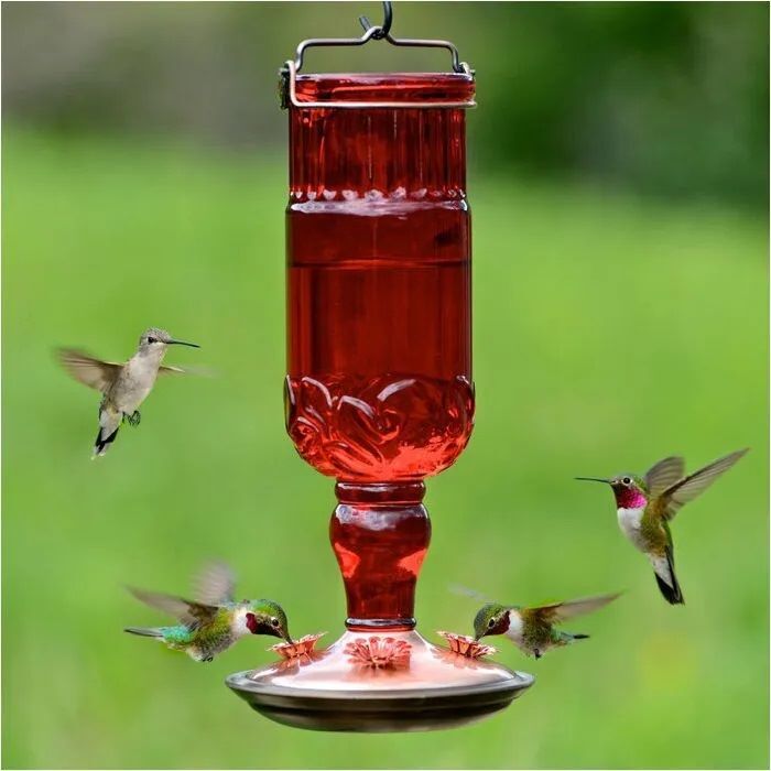 Perky-Pet Red Antique Glass Bottle Hummingbird Feeder, 24-Oz