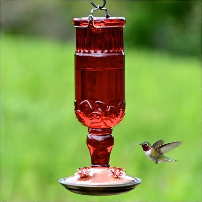 Perky-Pet Red Antique Glass Bottle Hummingbird Feeder, 24-Oz