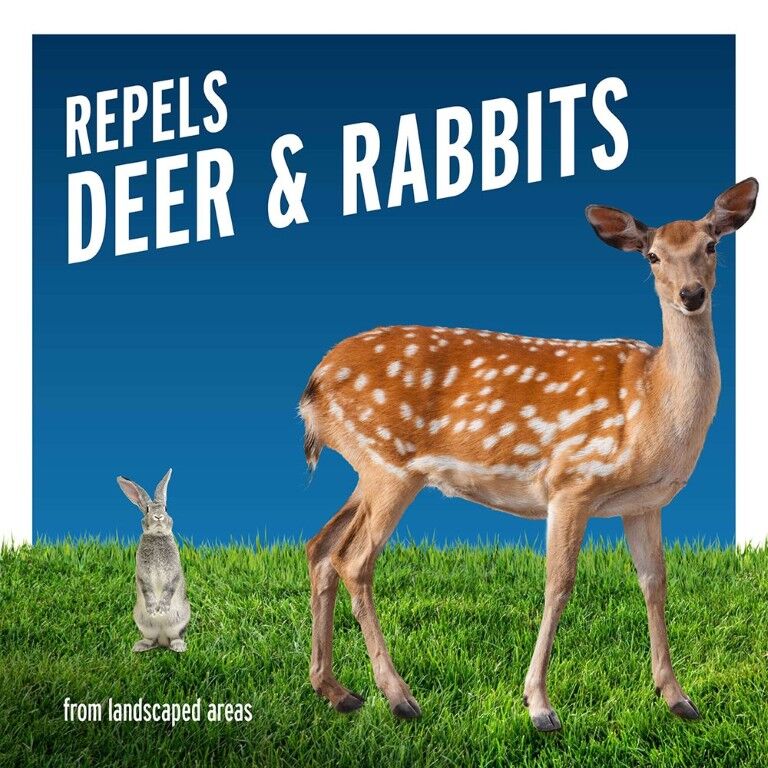 Liquid Fence Deer & Rabbit Repellent, Ready-To-Use - 1 gal