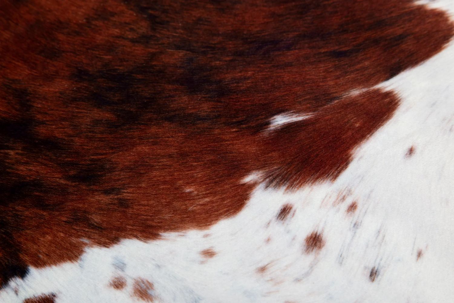 Carstens Small Faux Cowhide Print Rug, White Belly