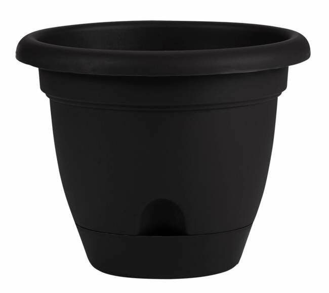 Bloem 6 in Lucca Self Watering Planter With Saucer - Black