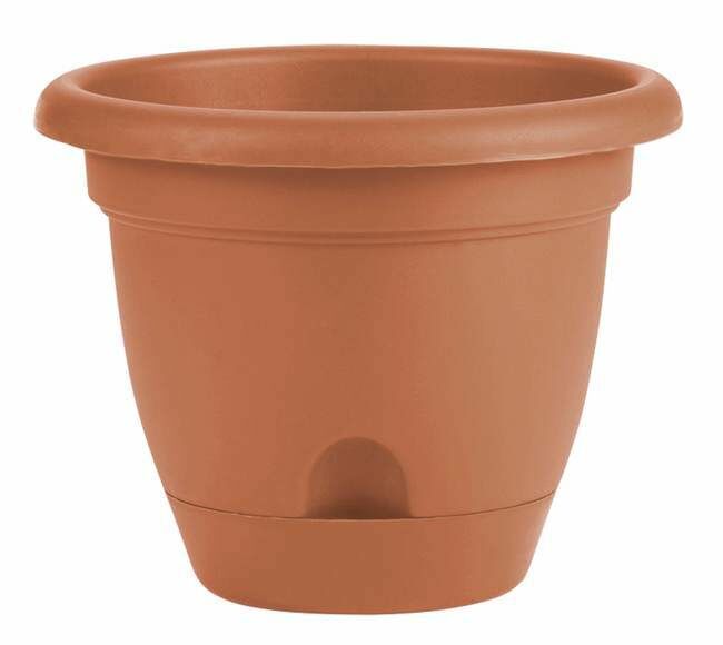 Bloem 6 in Lucca Self Watering Planter With Saucer - Terra Cotta