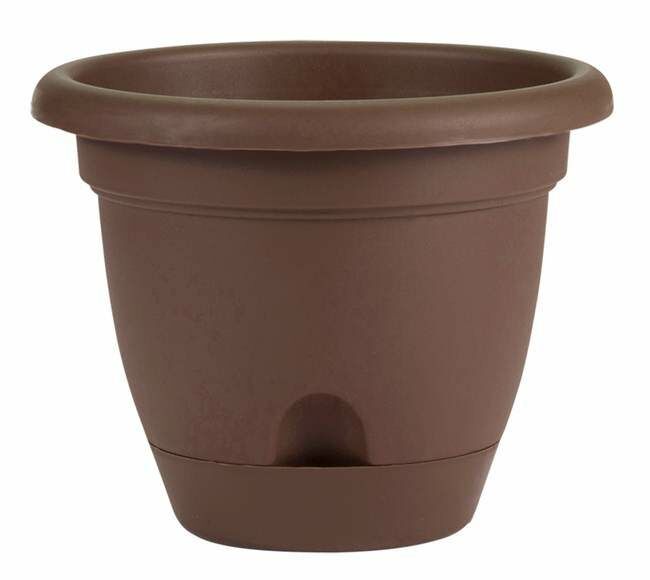 Bloem 8 in Lucca Self Watering Planter With Saucer - Chocolate Brown