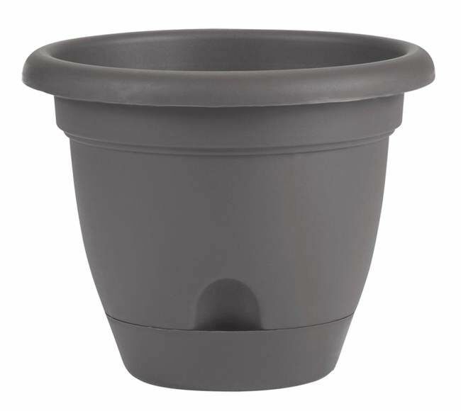 Bloem 8 in Lucca Self Watering Planter With Saucer - Charcoal Gray