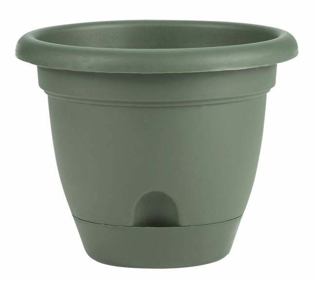 Bloem 10 in Lucca Self Watering Planter With Saucer - Living Green