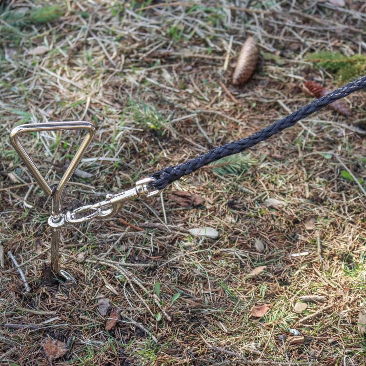 Coastal Pet Products Titan Dog Tie Down Spiral Stake for Hard Soil, 17-In