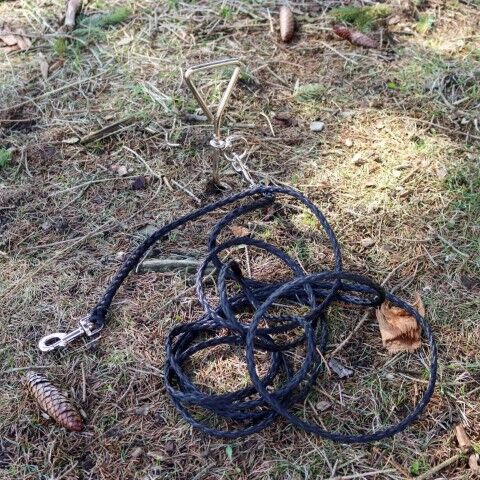 Titan Dog Tie Out Stake for Hard Soil, 20-In