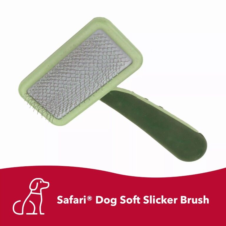 Safari Medium Dog Soft Slicker Brush
