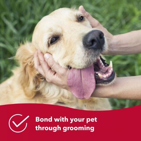 Safari Dual Sided Dog Shedding Blade