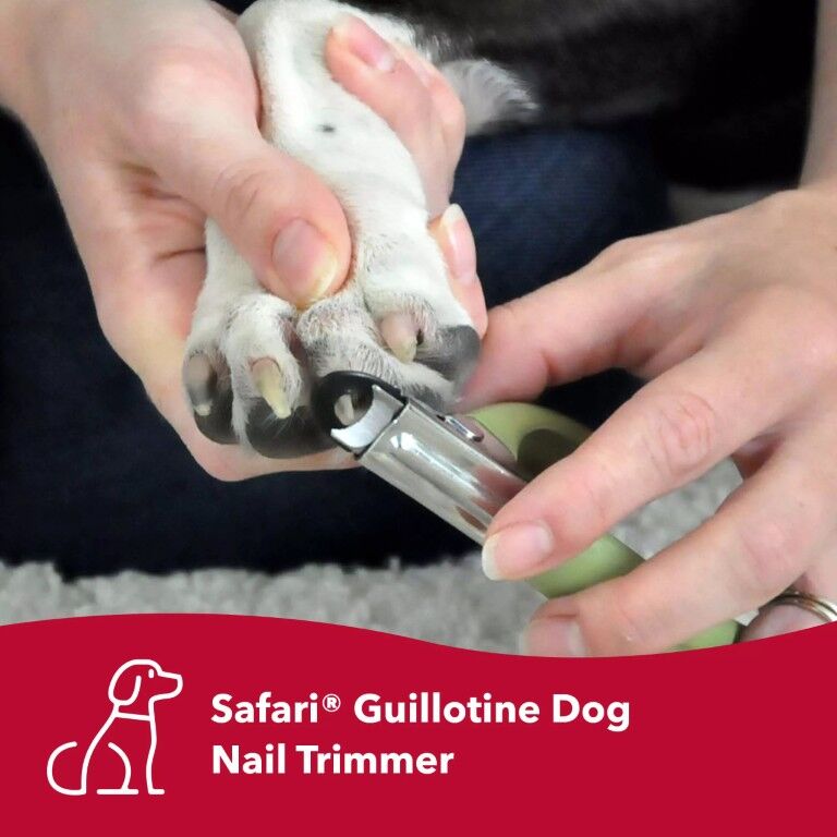Safari Small Guillotine Dog Nail Trimmer
