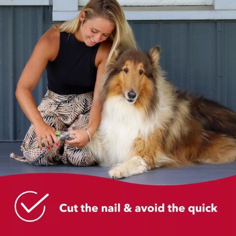 Safari Large Professional Nail Trimmer
