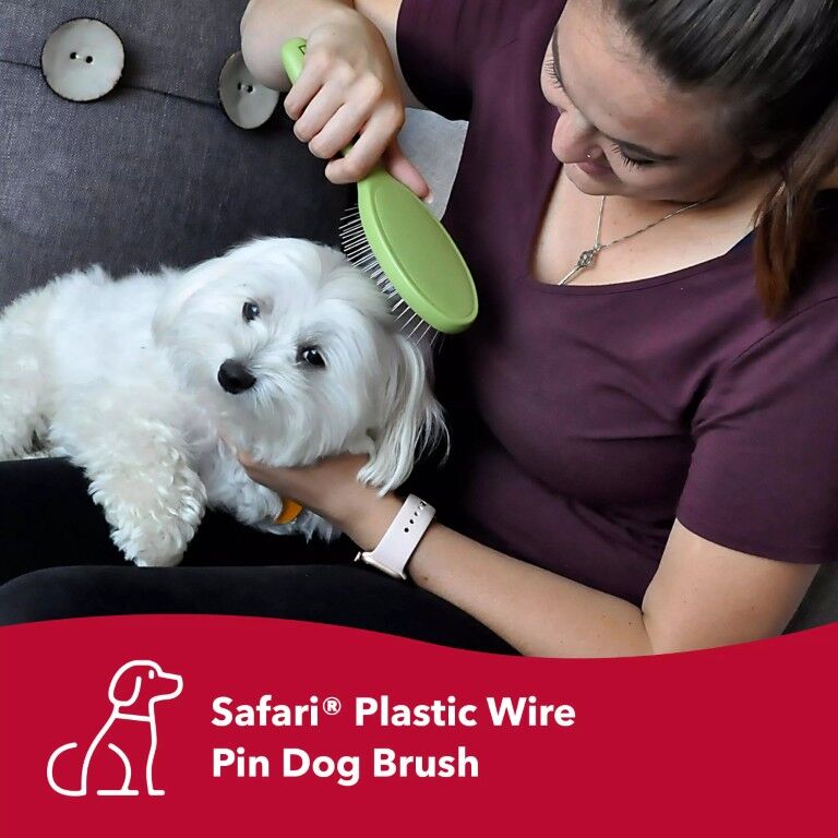 Coastal Pet Products Safari Wire Pin Brush With Plastic Handle Small, 8 1/2-In x 2-In