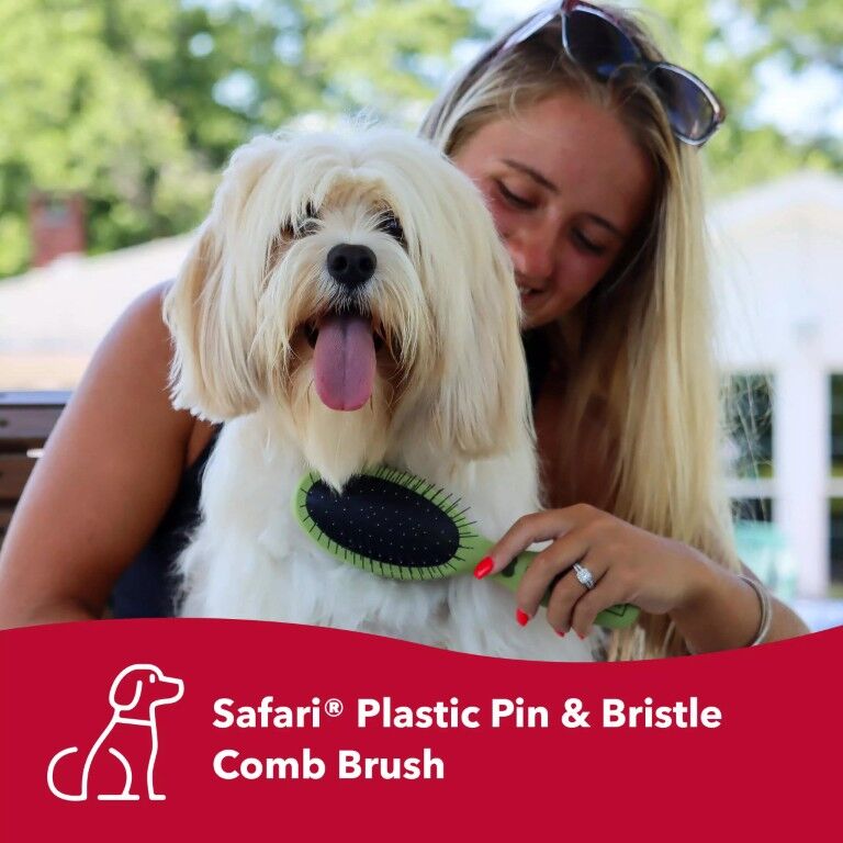 Safari Medium Pin and Bristle Combo Dog Brush