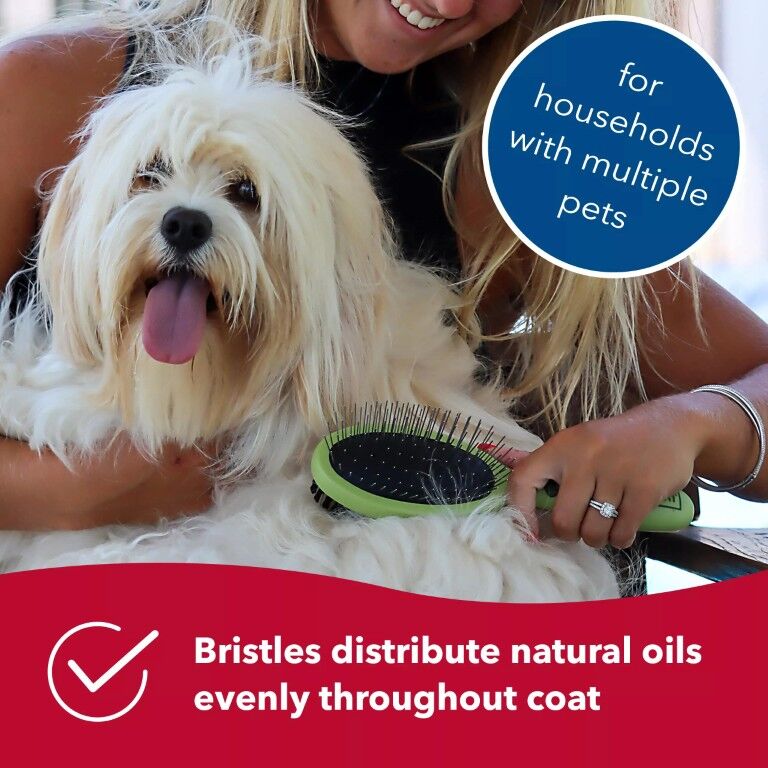 Safari Medium Pin and Bristle Combo Dog Brush