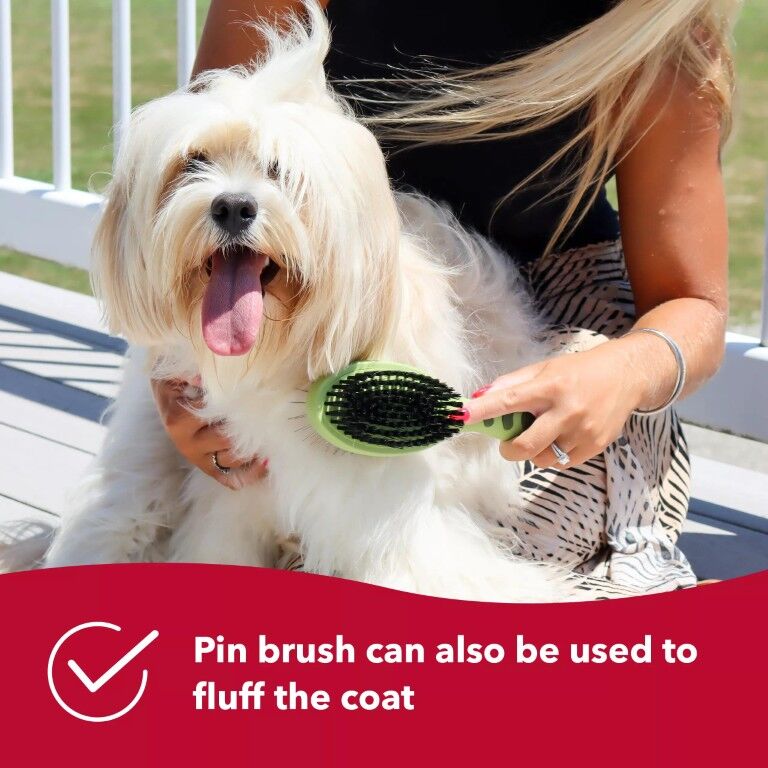 Safari Large Pin and Bristle Combo Dog Brush, Large
