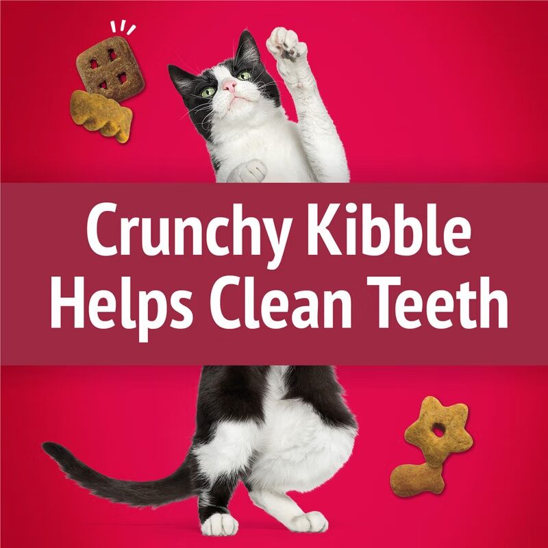 Friskies Party Mix Mixed Grill Crunch With Chicken & Flavors Of Beef & Salmon Cat Treats, 2.1-OZ