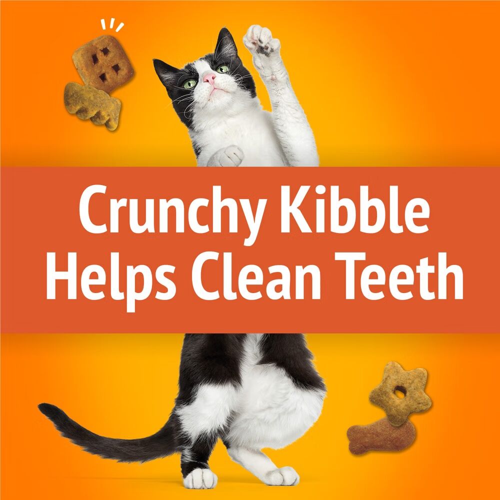 Friskies Party Mix Original Crunch With Chicken & Flavors Of Liver & Turkey Cat Treats, 2.1-Oz