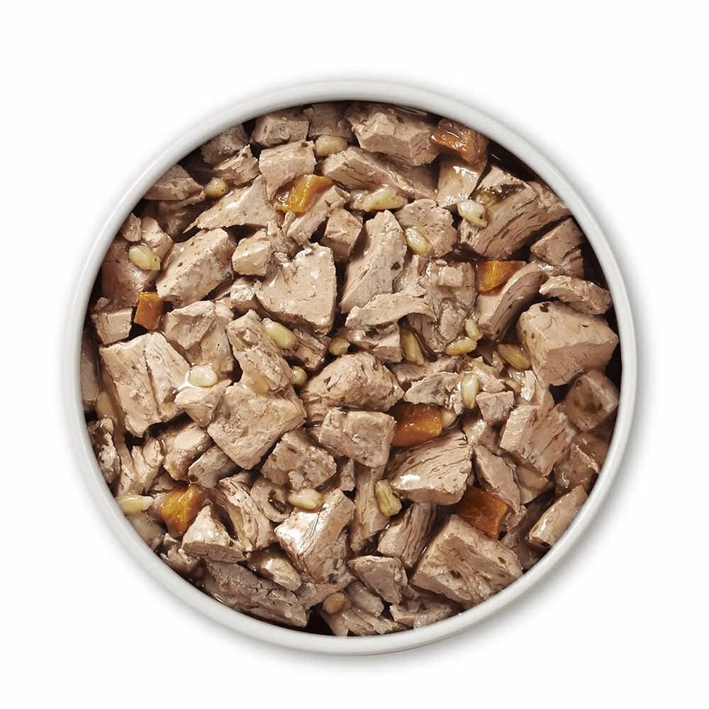 Purina ONE Chicken & Brown Rice Entrée Tender Cuts in Gravy Wet Dog Food, 13-Oz
