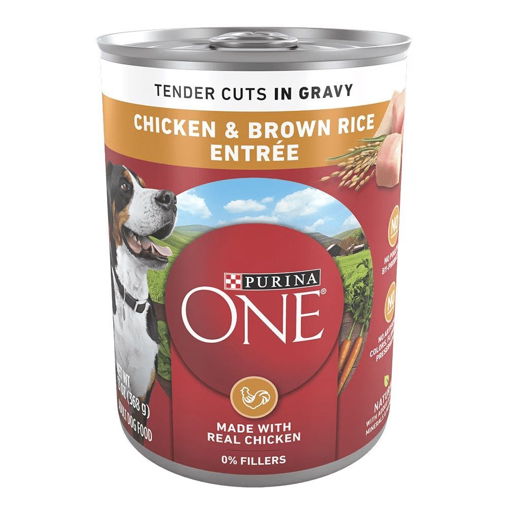 Purina ONE Chicken & Brown Rice Entrée Tender Cuts in Gravy Wet Dog Food, 13-Oz