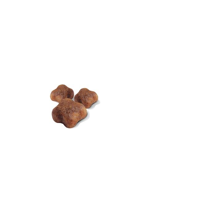 Royal Canin Mother & Babycat Dry Cat Food, 6-Lb