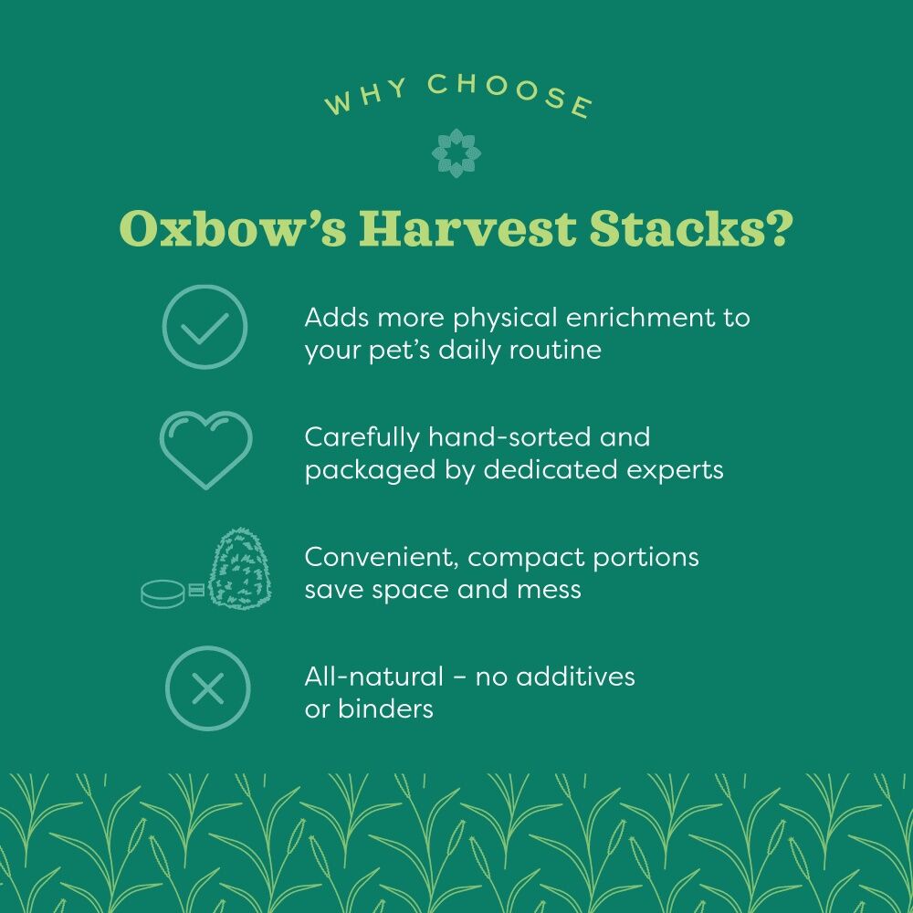 Oxbow Harvest Stacks Western Timothy Hay, 35-Oz