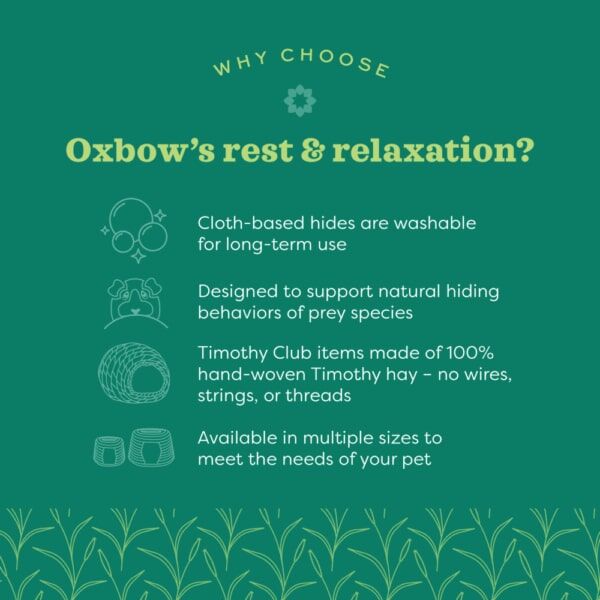 Oxbow Timothy Club Large Timothy Bungalow